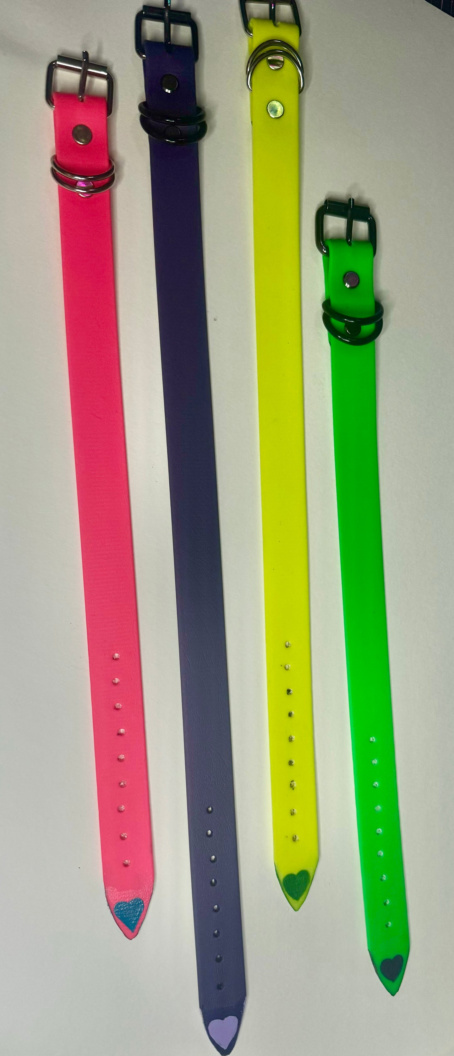 Biothane Collar: Buckle, Single Color