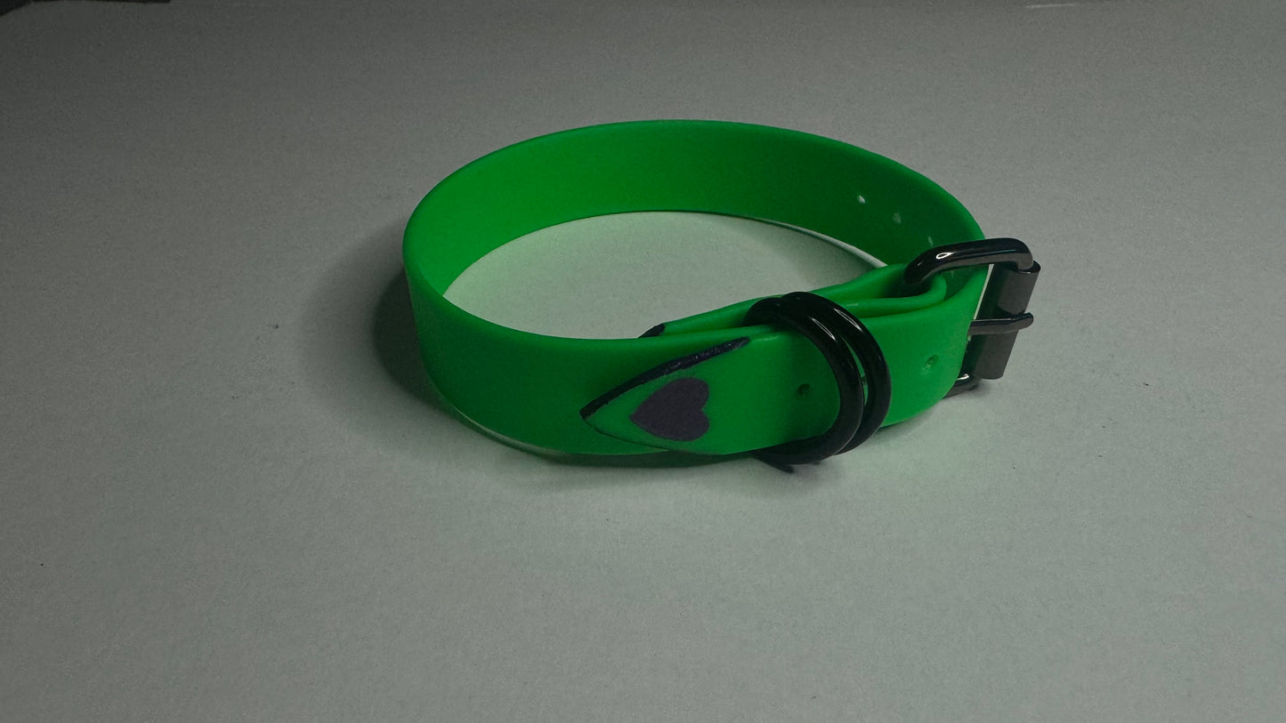 Biothane Collar: Buckle, Single Color