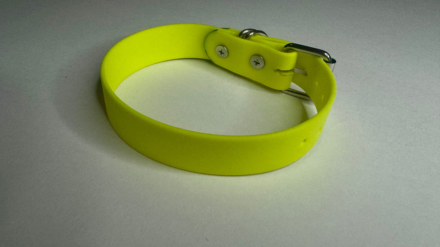 Biothane Collar: Buckle, Single Color