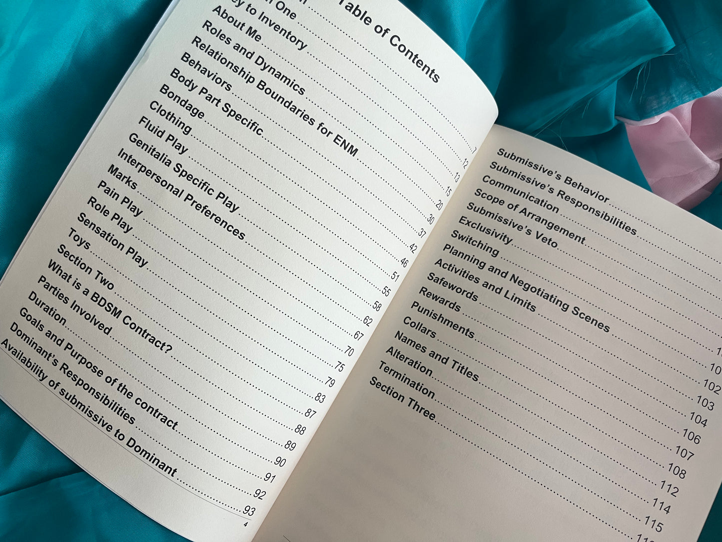 Kink Inventory and BDSM Contract Guide Book