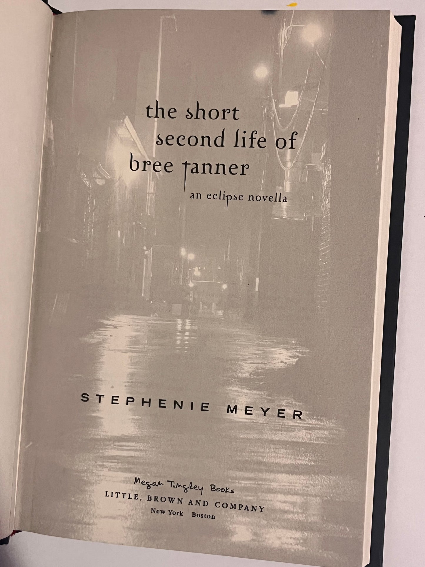 Hand-Painted Hardcover: The Short Second Life of Bree Tanner by Stephanie Meyer