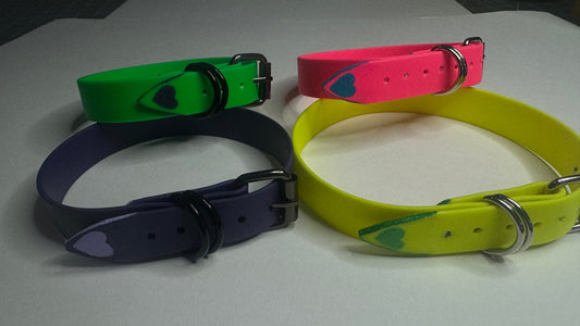 Biothane Collar: Buckle, Single Color