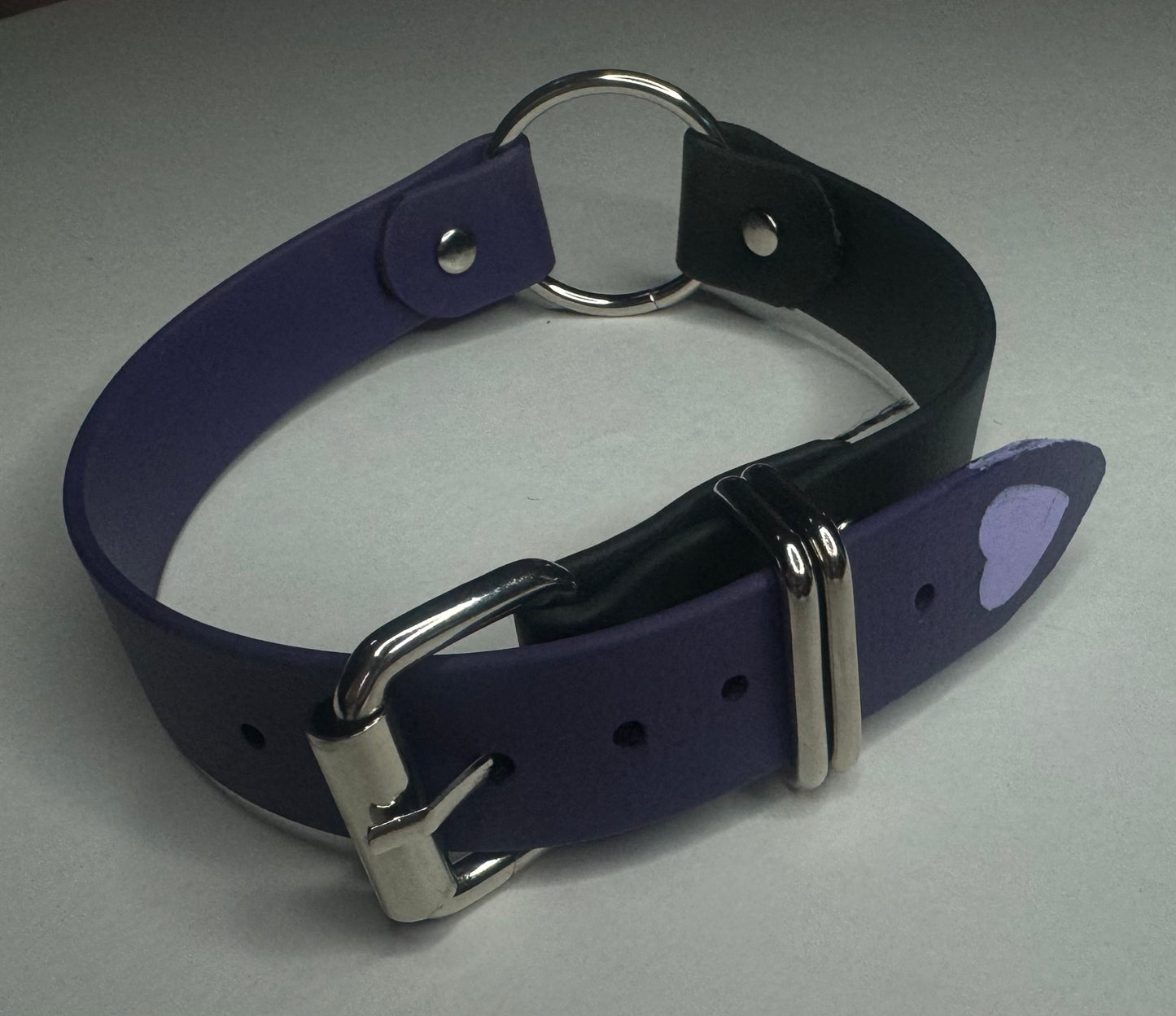 Biothane Collar: Buckle, O-Ring Center, Two Color