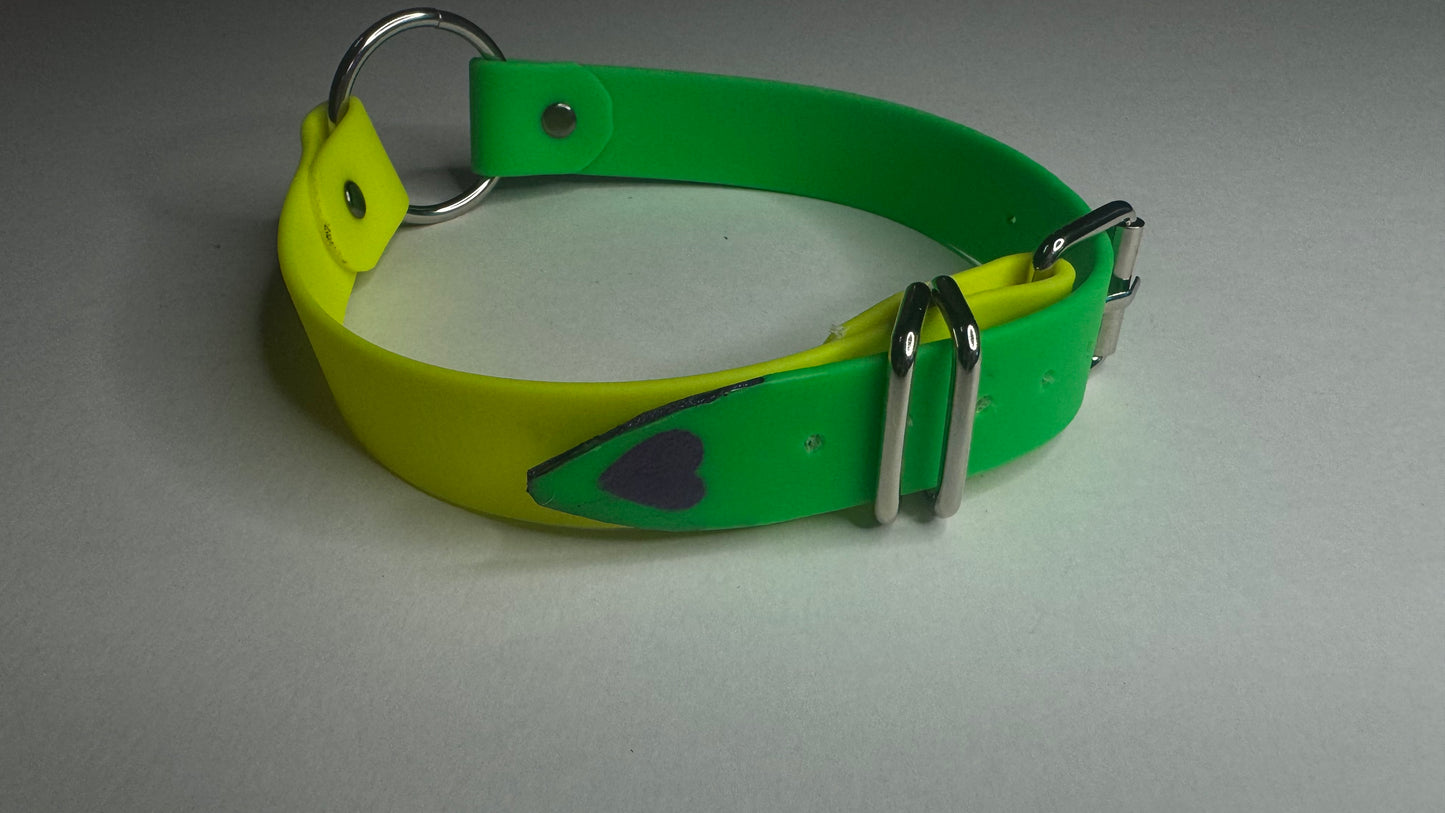 Biothane Collar: Buckle, O-Ring Center, Two Color